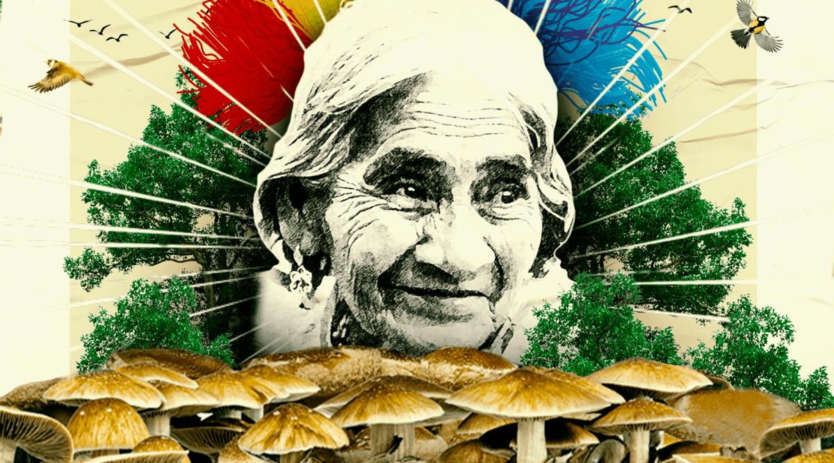 Artwork of Maria Sabina with mushrooms and nature elements.